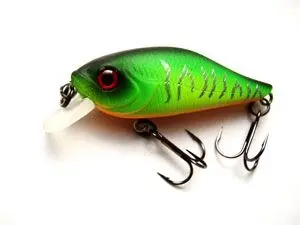 Aiko Jovial Shad