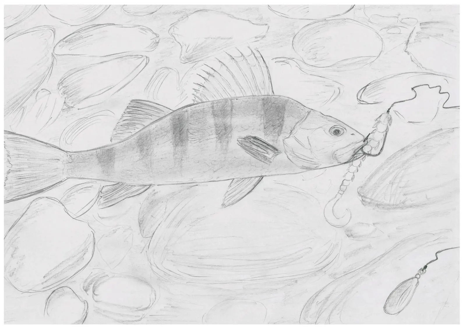 На рисунке изображены сом и щука. Рыбалка рисунок карандашом. Рисунок на тему рыбалка карандашом. Рисунки про рыбалку карандашом легкие и красивые. Рисунок карандашом рыбалка на хищная рыба.