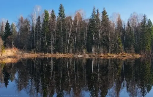 Таёжное озеро в октябре