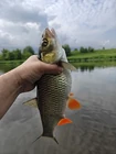 Отлично половили и... (фото #25659)