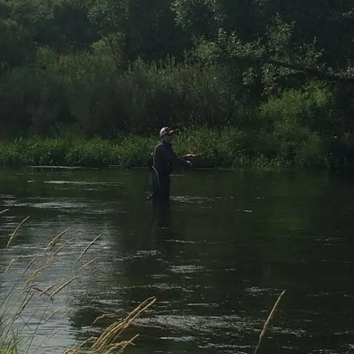 Вода с неба и голавли