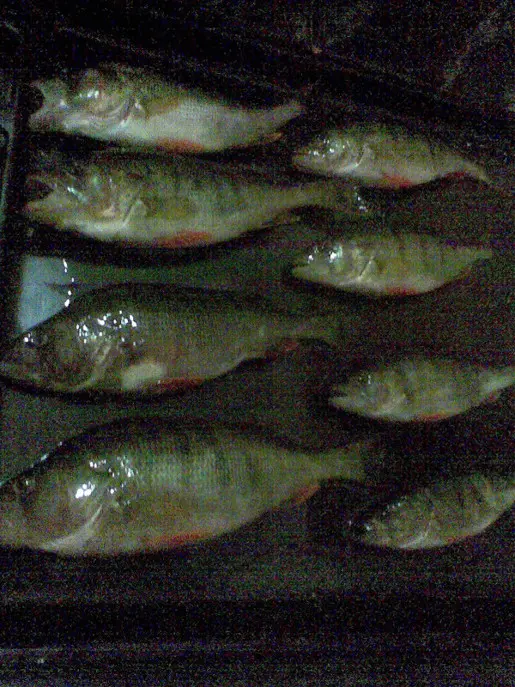 Фото о рыбалке №28344