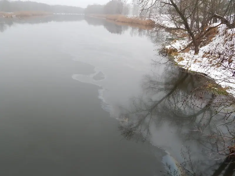 Вот и маслянистые пятна на поверхности воды