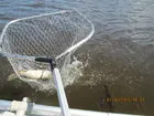 Фото о рыбалке №49359