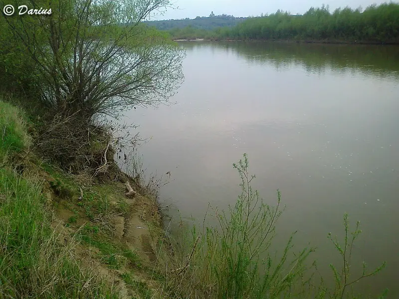 Днестр оживает, но воды еще много...