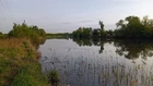 Раненько-раненько... (фото #25412)