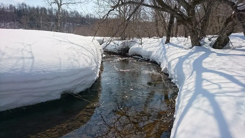 Красота Сахалинской природы