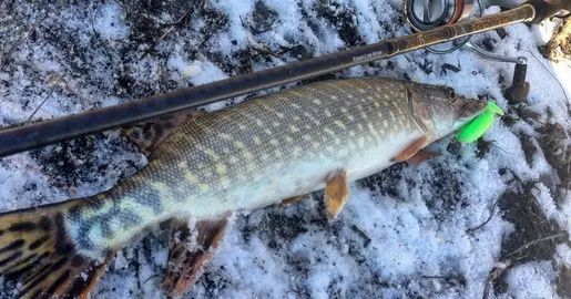 Под лежачий камень вода не течет