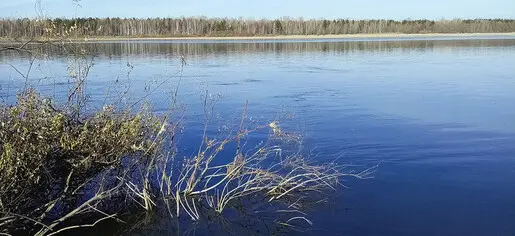 Летний сезон рыбалки с берега — 2021, закрыл.