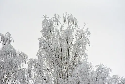 Сезон мертв, да здравствует сезон!