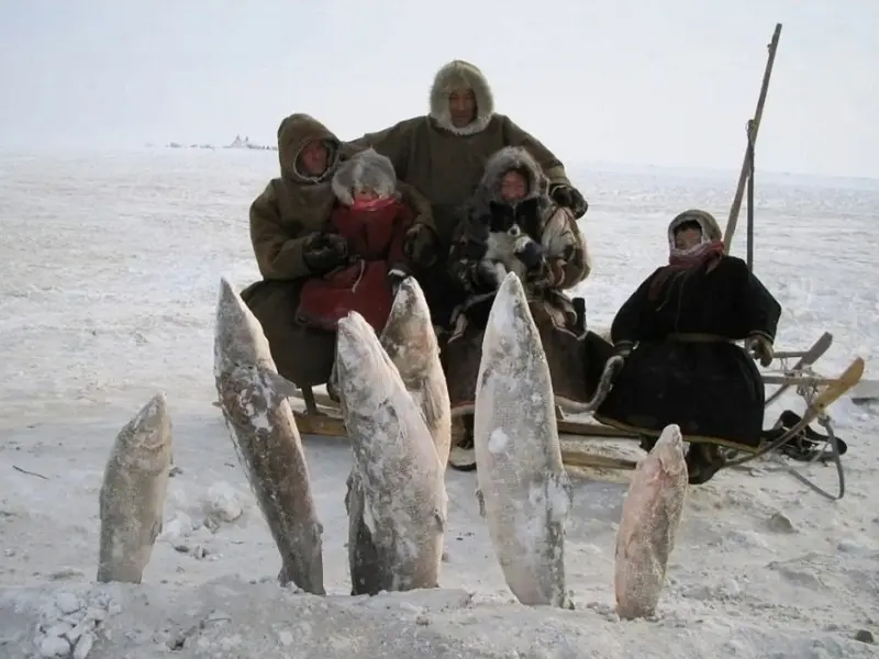 Ловля сетями зимой