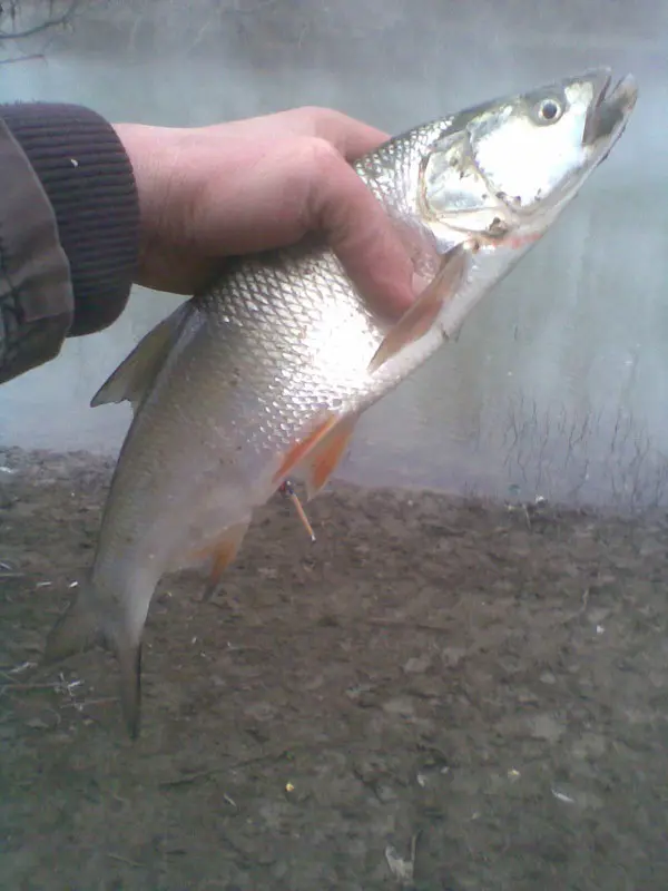 Фото о рыбалке №28343