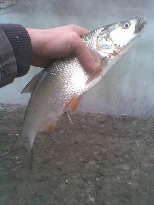 Фото о рыбалке №28343