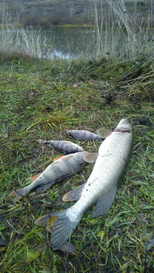 Последняя по открытой воде