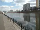 Воскресенье утро... (фото #8956)