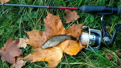 Последняя октябрьская рыбалка.
