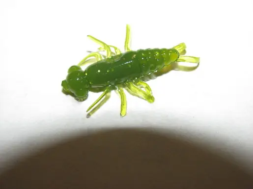 MicroFishing Stonefly Nymph