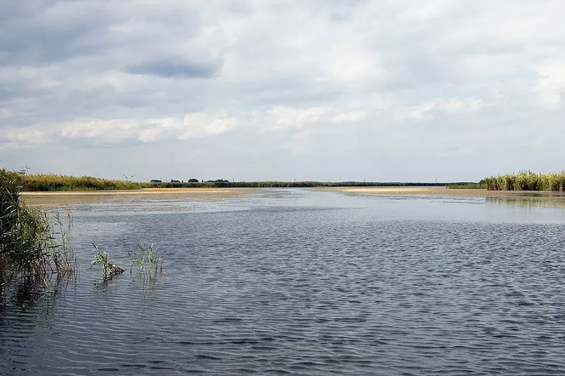 Помимо большой воды есть большое кол-во заманух и мелких заросших лиманов с щукой травянкой и...