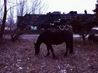 Железный конь грядёт на смену крестьянской лошадке! :)