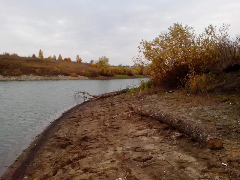 Кустик то по урезу воды рос