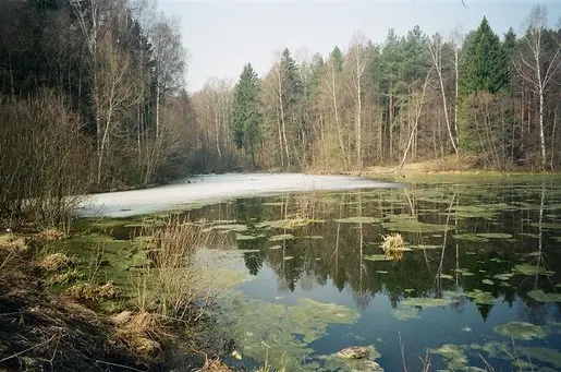 Весенние страдания