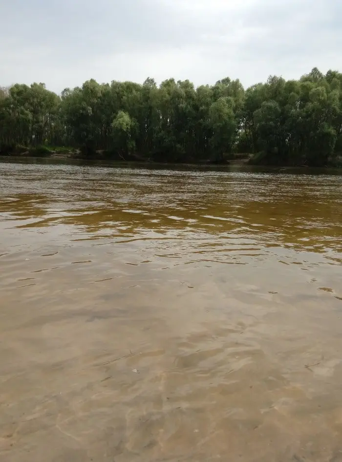 Воды моей родной реки.