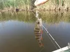 Рыбалочка