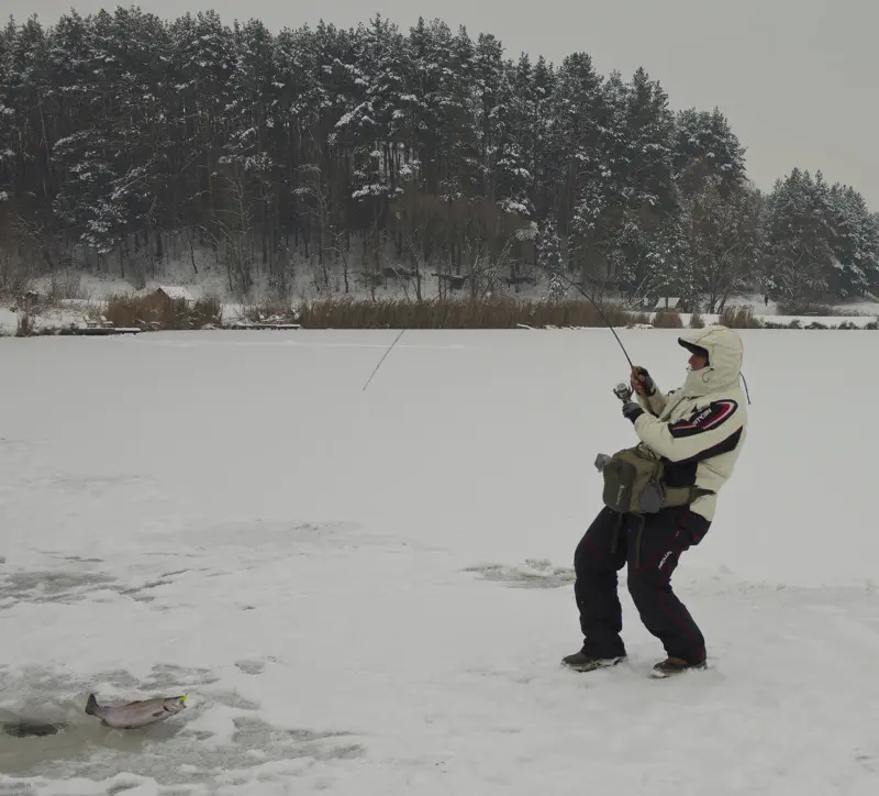 Подлёдный спиннинг (under-ice spinning)