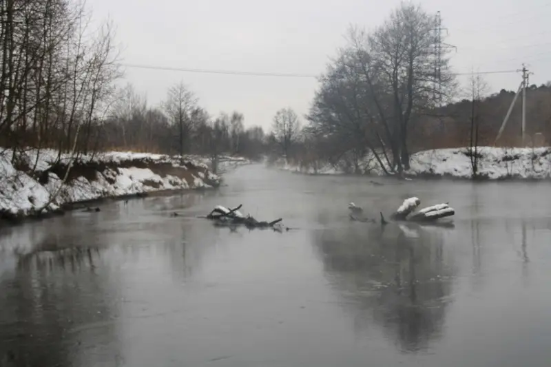 Пехорка зимняя.