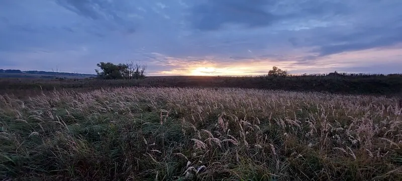 Чуть более ранняя версия моего недавно опубликованного «золотого рассвета»