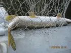 Фото о рыбалке №84930