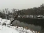Кос у меня, правда... (фото #1822)