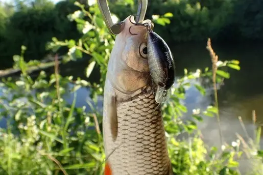 Рыбалка на Барыше