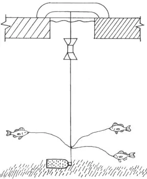 Рис. 1. Ловля налима на мертвую рыбку