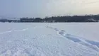 Не терпелось мне на... (фото #19912)