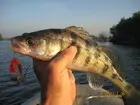 Фото о рыбалке №65711
