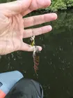 Ух сколько вопросов —... (фото #4881)