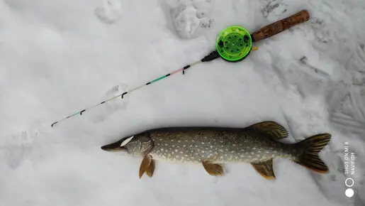 Лучшая рыбалка точно первого января.