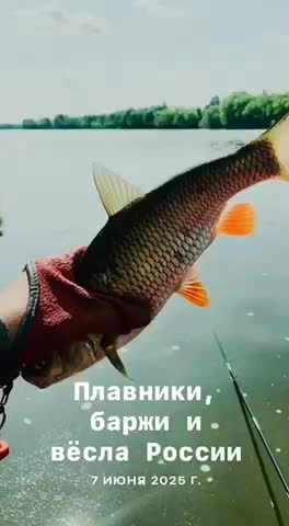 :) (видео #143)