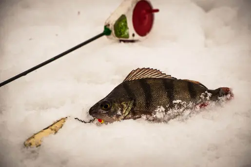 Последняя зимняя рыбалка