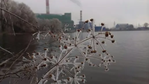 Мои «холодные» приманки