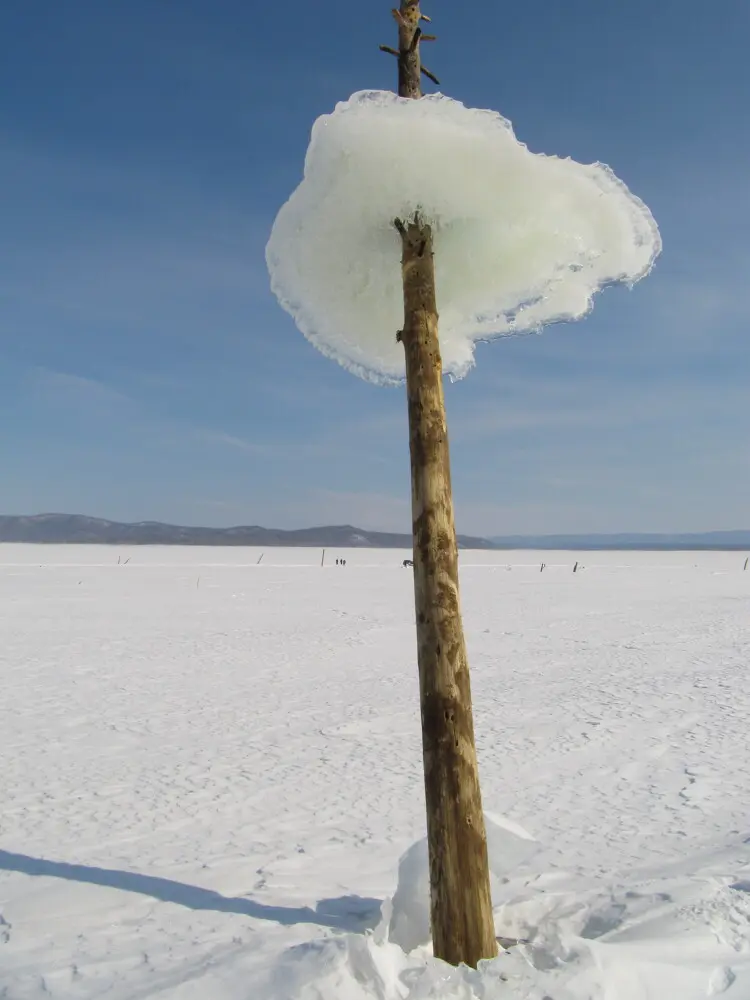 Ну, где у нас такую красоту найдешь?