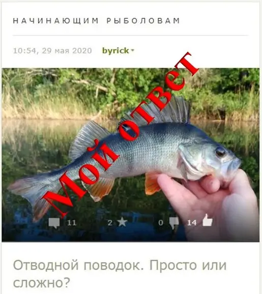 Отводной. Мой ответ.