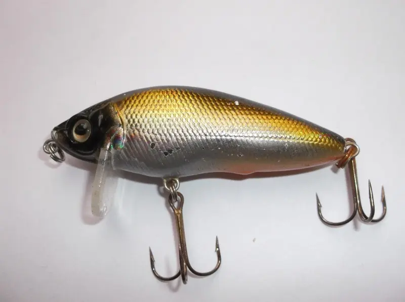 German Fighting minnow