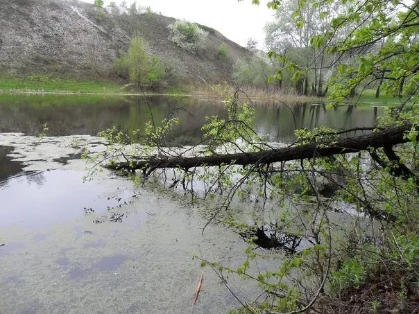 На озере много коряг, зарослей водной растительности, перепадов глубин. В общем — есть где...