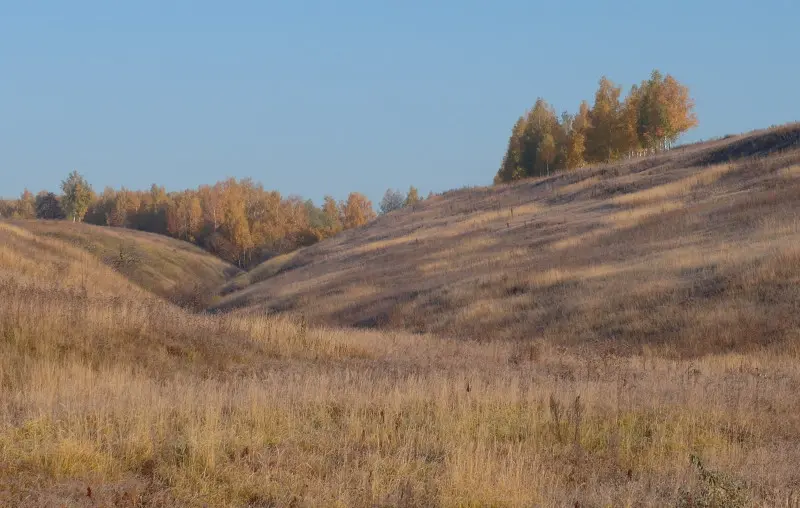 Какая лощинка живописная