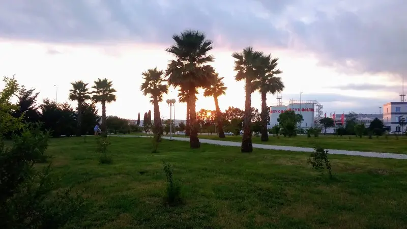 Пальмы на фоне заката