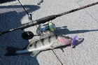 Фото о рыбалке №65417