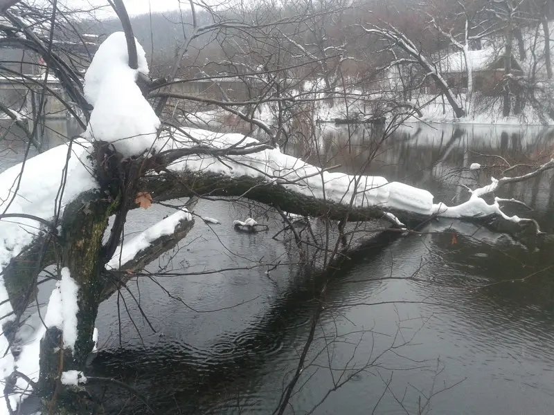 Ну а шо... :D это ж вода.