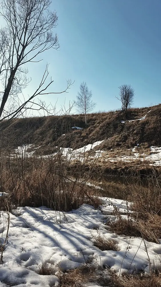 Берёзка трогательно застывшая на крутом берегу